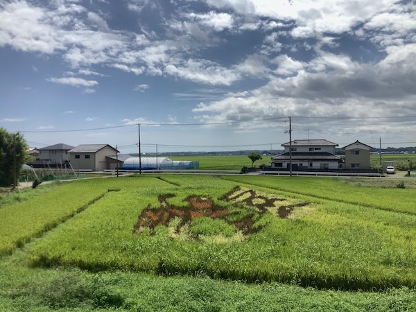 田んぼアート 田んぼアート
