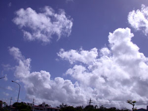 積乱雲は今日も元気です