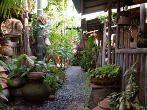 NO4 GuestHouse。鳥が寄ってきそうでしょ？ あと蚊も・・・