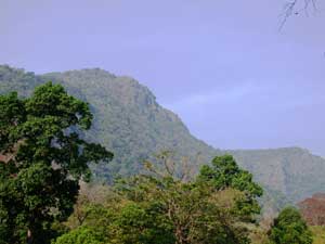 公園内にある Mt. Khao Luang、標高は1200mくらい