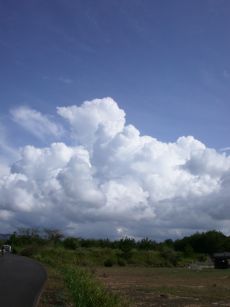 まだまだ真夏の雲模様