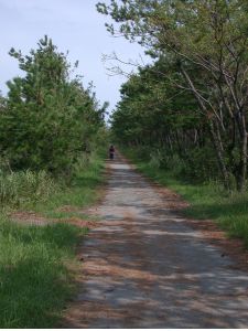 佐土原-西都間の自転車道。海岸沿いはこんな感じ。
