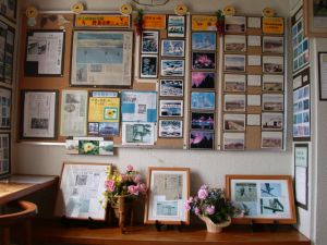 観察小屋の中は写真が一杯！