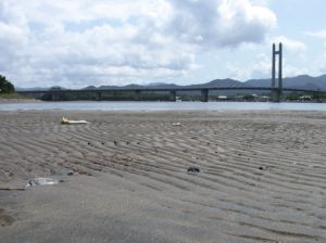 万之瀬川河口の干潟。向こうに見えるのはサンセットブリッジ