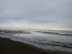 中津干潟。天気が良ければ言うことなしだろうなぁ