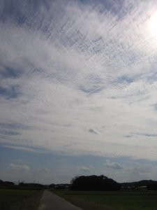巻積雲が広がった。