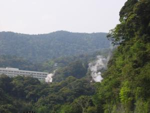 温泉から立ち上る湯煙
