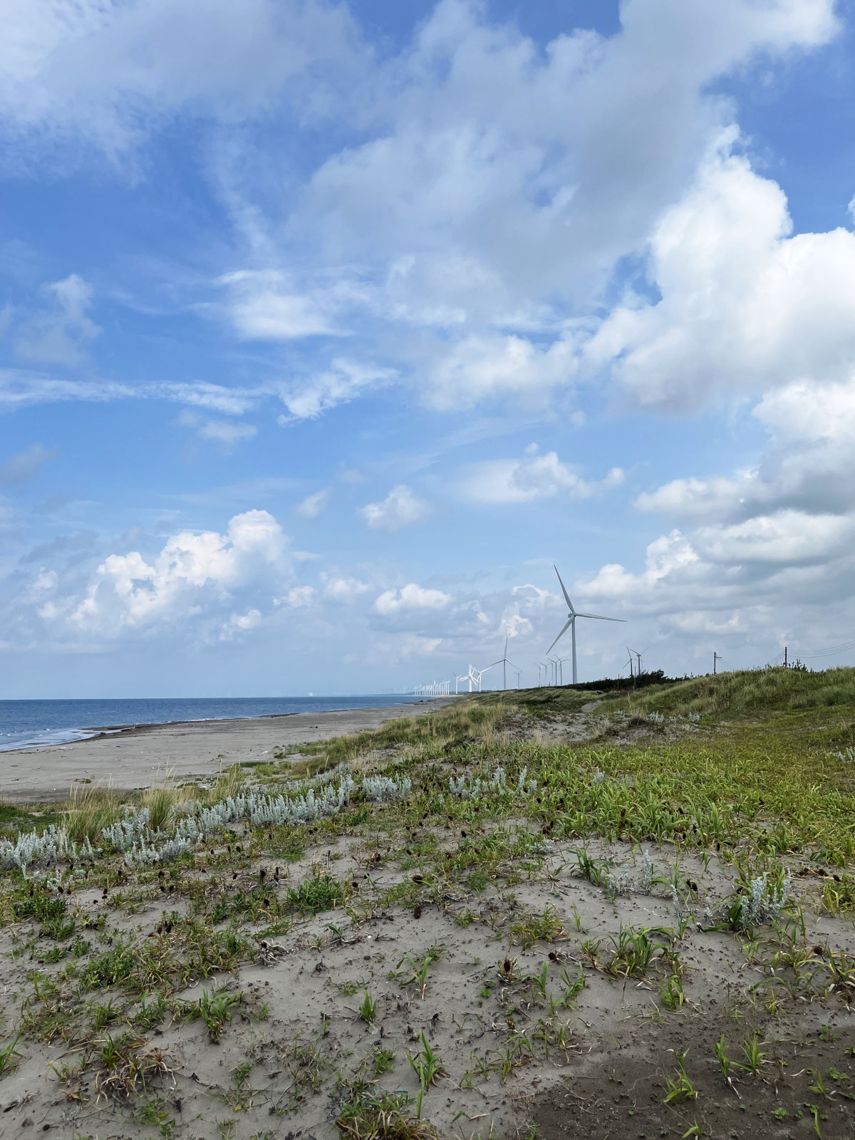 男鹿市の宮沢海水浴場。鳥には逢えず残念でしたが、静かな海岸で一息つくのは大好き。