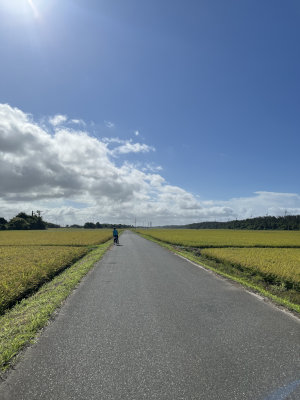潟上市の田んぼ。のんびり走れる幸せなひととき。